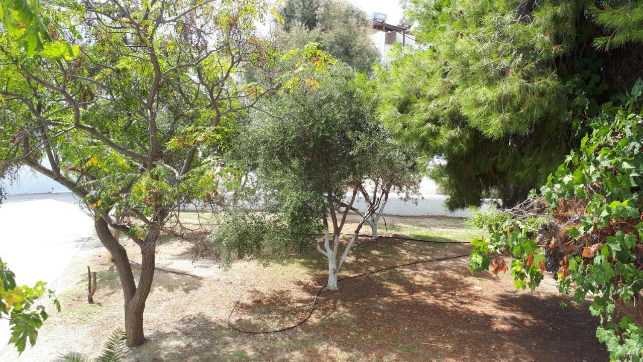 Chrisanthi Studios Agios Prokopios (Naxos) Exterior foto